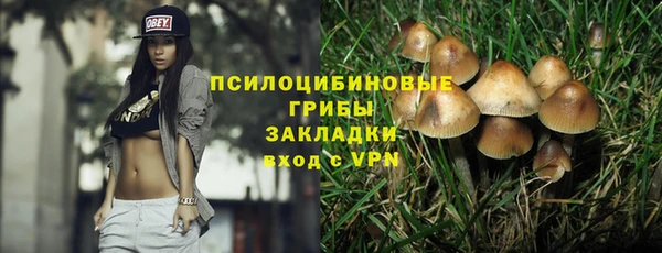 кристаллы Белокуриха