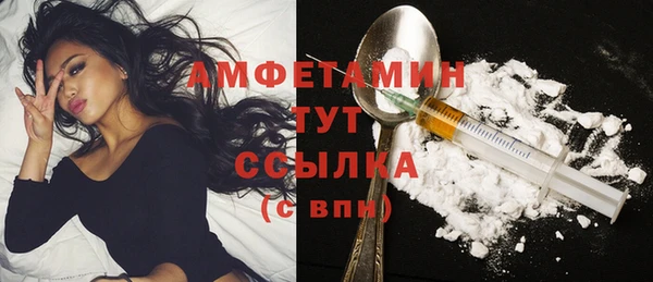гашик Михайлов
