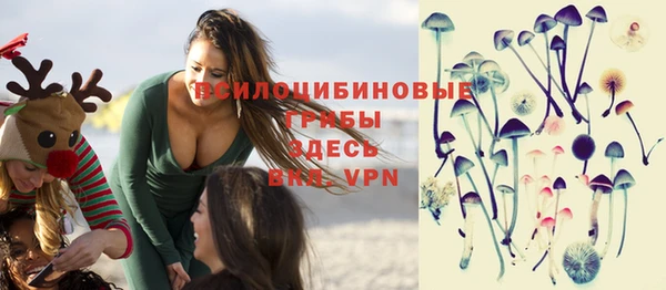 PSILOCYBIN Тайга
